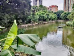-晓港公园