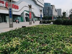 -万达广场(大明宫店)
