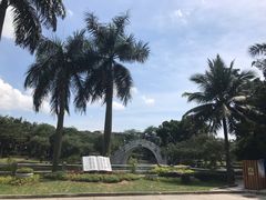 -金砂公园