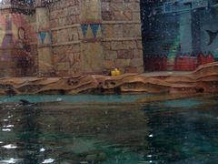 游乐设施-波塞冬旅游度假区