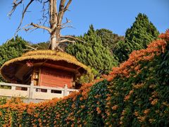 -灵光寺