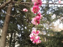 -木塔寺遗址生态公园