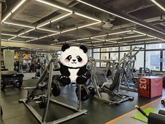 -健身专家Wellness Experts