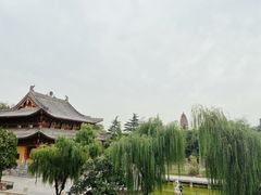 -洛阳白马寺