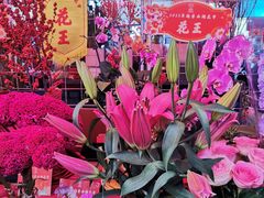 -越秀西湖花市(广州城市广场花卉店)
