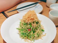巧拌豆苗-四季民福烤鸭店(前门廊房二条店)
