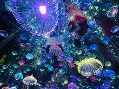 -梵高星空艺术馆(北京旗舰店)