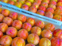 -大连果菜批发市场