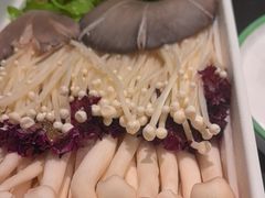 -南门四季铜锅涮肉(大屯·北苑店)