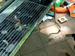 -南京金牛湖风景区