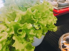 生菜-青松大叔的店(东财店)