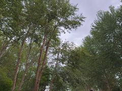 -敦煌莫高窟数字展示中心