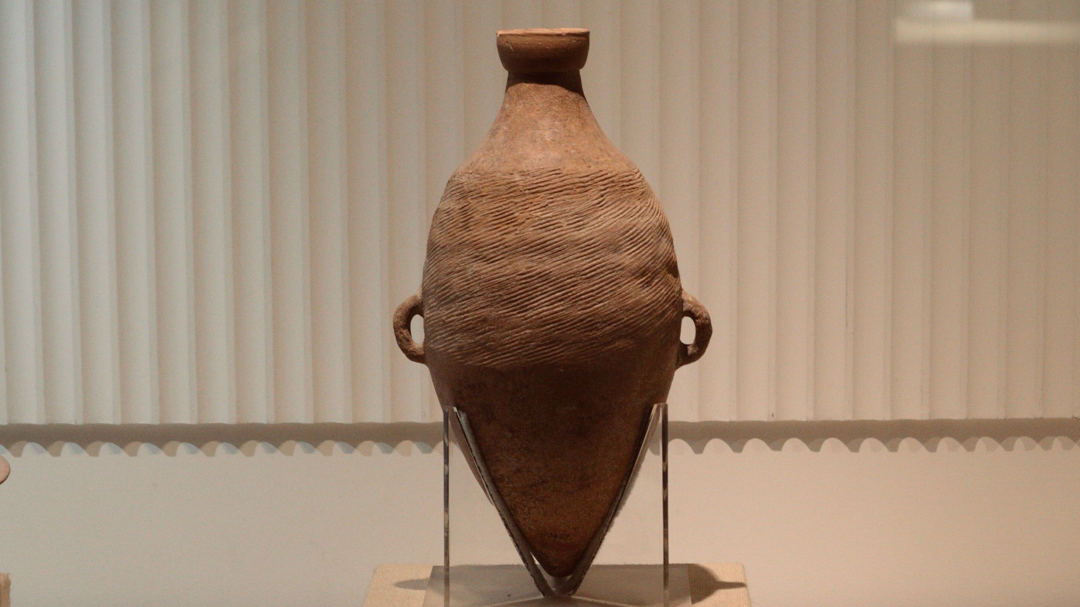 半坡遗址博物馆绝对是被忽略的宝藏地