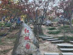 -广州市帽峰山景区