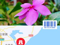 -东郊椰林