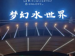 -巨鹏飞梦幻水世界