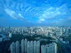 -上海龙之梦万丽酒店