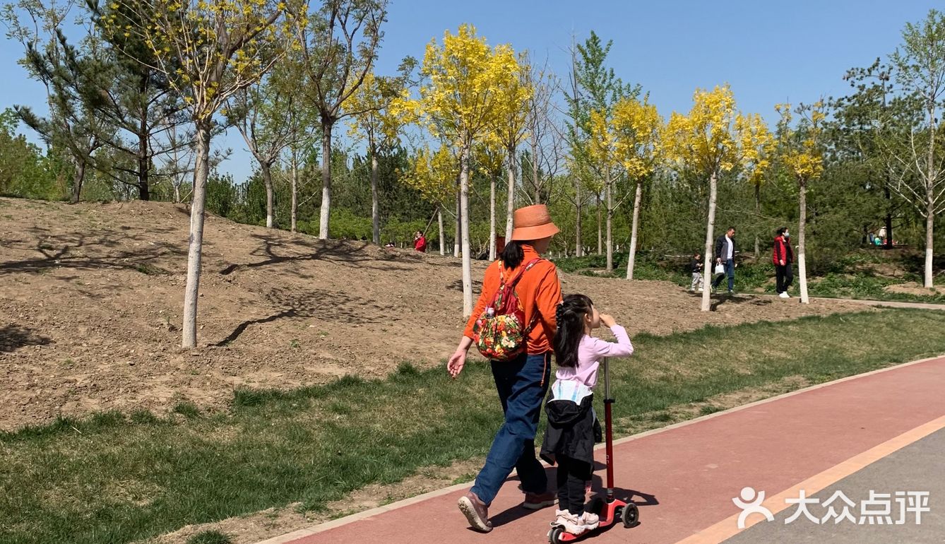 舊宮城市森林公園遛娃鍛鍊好去處勝利