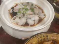 -邵年鸽(杨庄店)