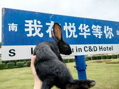 -厦门悦华酒店·绿庭主题自助餐厅