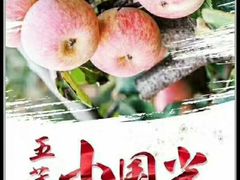 -全而廉(靖宇中路店)