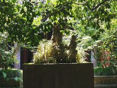 -宝光寺