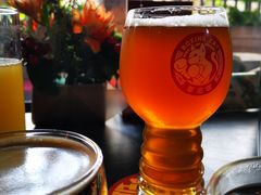 -Boxing Cat Brewery拳击猫精酿啤酒馆(永福店)