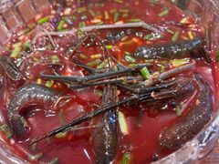 -虎哥私房菜(馒头山店)