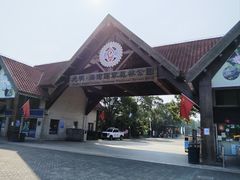 -上海海湾国家森林公园