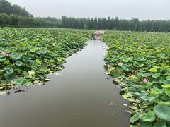 -渌洋湖湿地公园