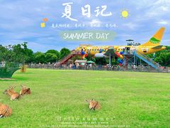 -苏州太湖西山岛开心农场