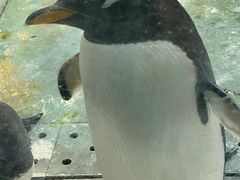 -大连圣亚海洋世界