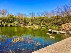 -西溪国家湿地公园