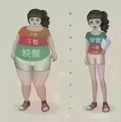 -香薇妮丝女子减肥院