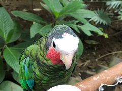 -南宫五洲植物乐园