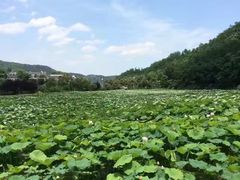 -韶山毛泽东同志故居