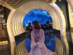 -迪拜帆船酒店海底餐厅