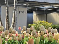 -丹东路渡口(轮渡站)