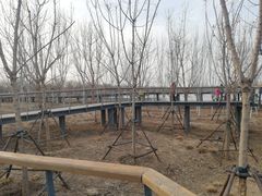 -东郊湿地公园