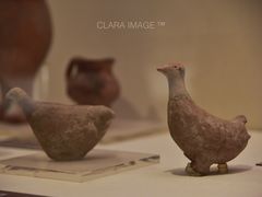 -甘肃省博物馆