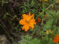 -MOJ coffee(瓯海泽雅水碓坑店)