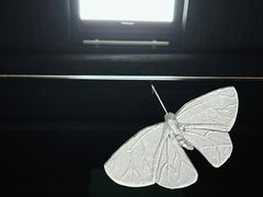 -元白和创园展厅