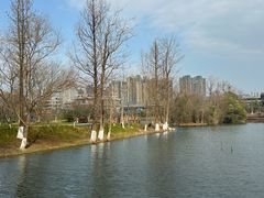 -洋湖国家湿地公园