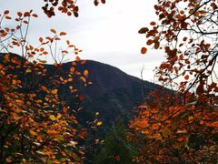 -北京十三陵国家森林公园蟒山景区