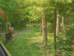 -合肥滨湖国家森林公园