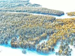 -塞罕坝国家级自然保护区