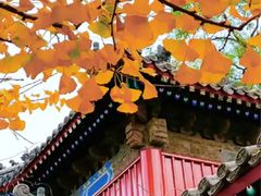 -承恩寺