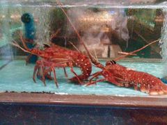 -阿伟海鲜楼·福建菜(延寿店)