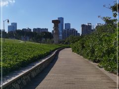-深圳湾公园(南山区)