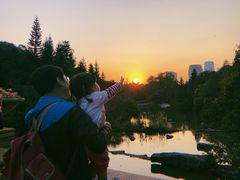 -云溪植物园